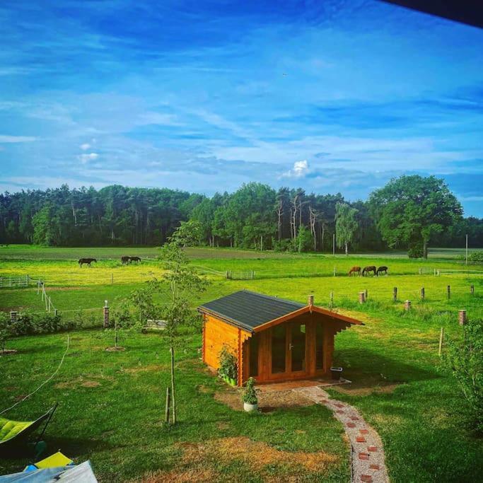 Wunderschoene Ferienwohnung Auf Dem Bauernhof Greven Kültér fotó