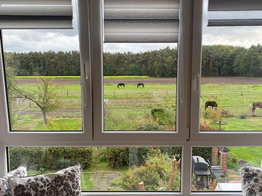 Wunderschoene Ferienwohnung Auf Dem Bauernhof Greven Kültér fotó