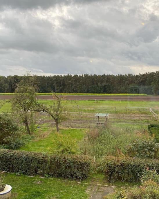 Wunderschoene Ferienwohnung Auf Dem Bauernhof Greven Kültér fotó